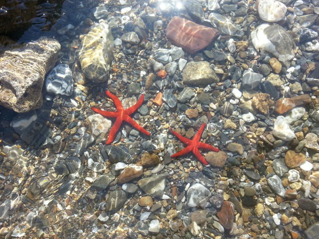 Cala Dei Mori Aparthotel Livorno Luaran gambar